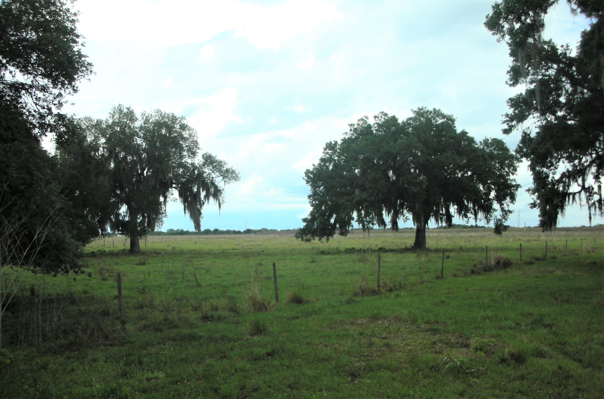 Okeechobee's Newest and Best Ranch Properties Priced BELOW market value!!