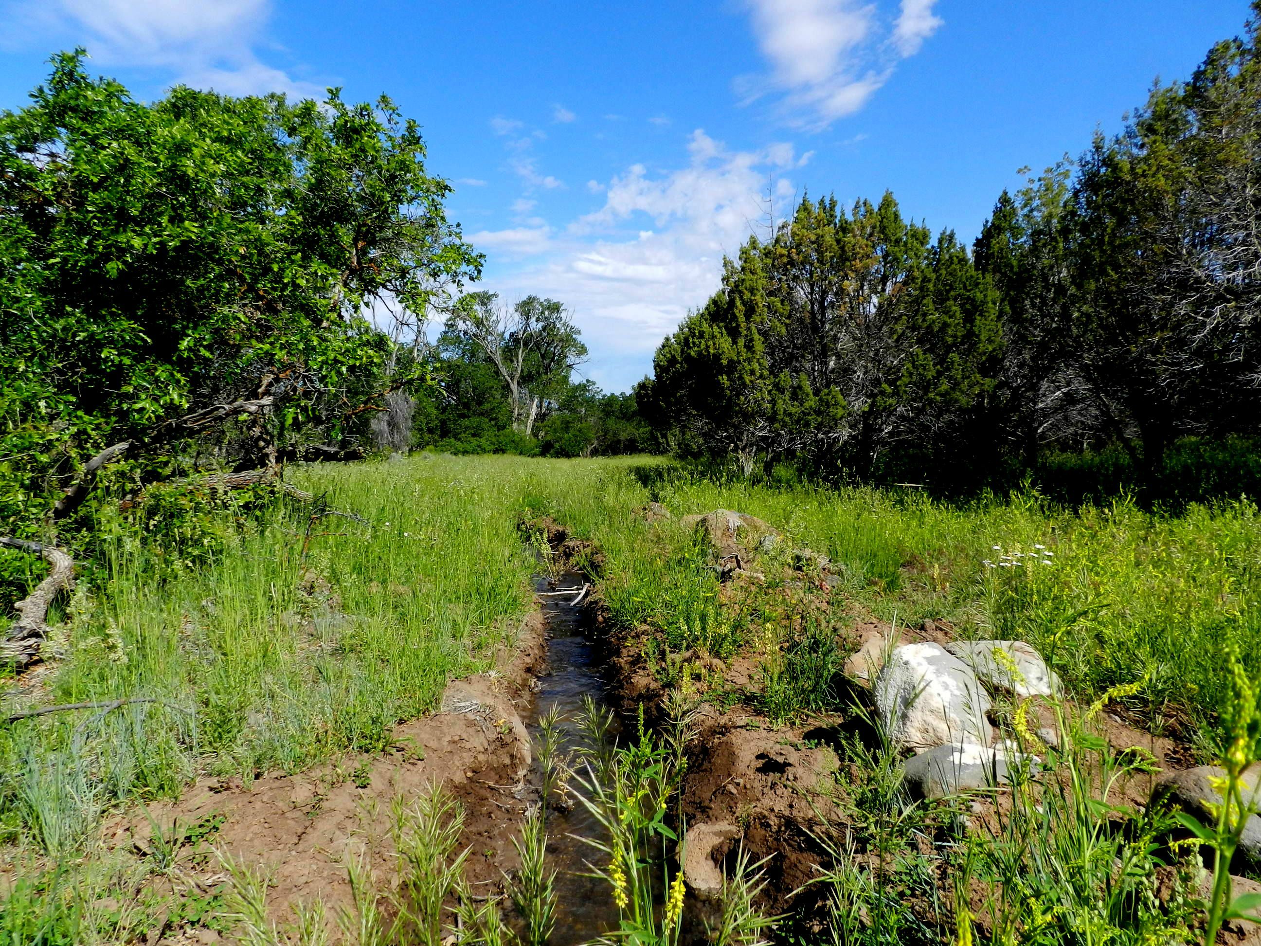 Irrigated land with creek and springs for sale