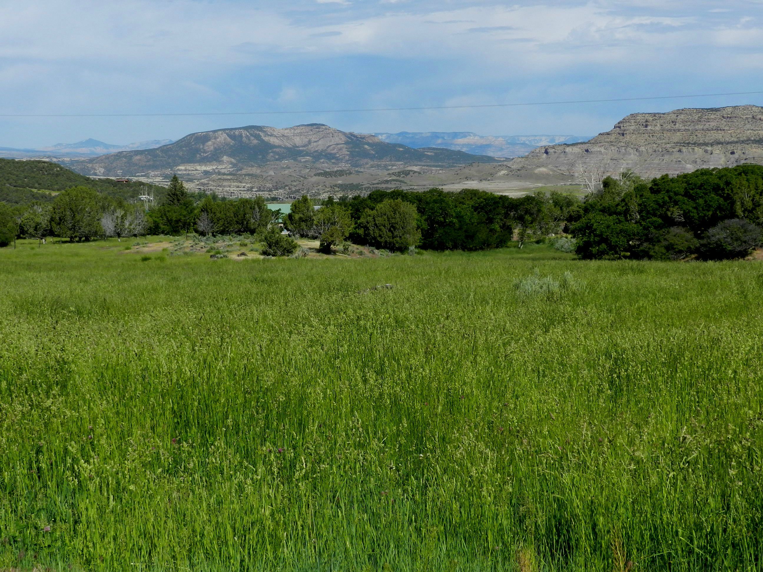 Irrigated land with creek and springs for sale