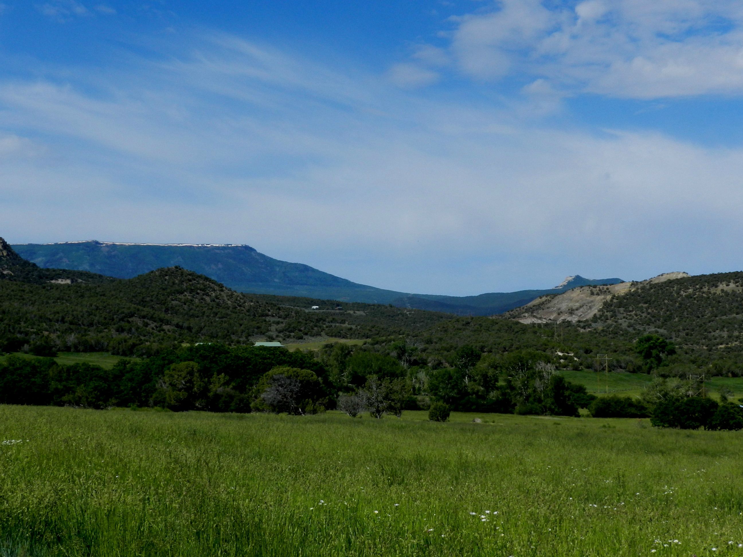 Irrigated land with creek and springs for sale