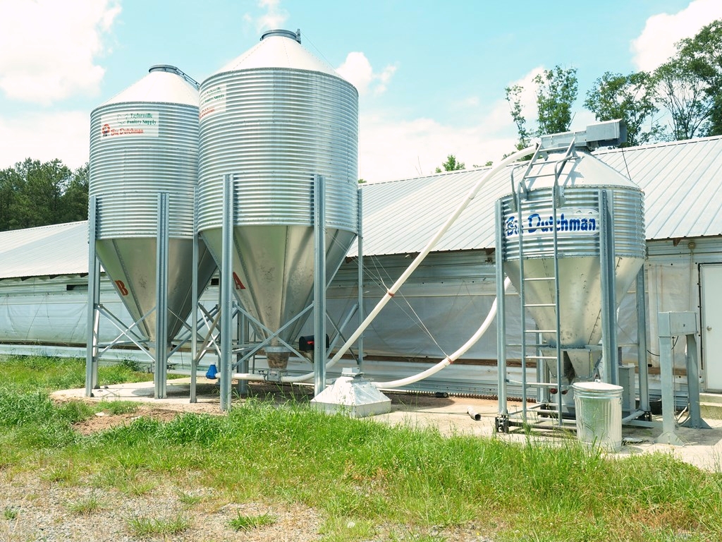 4 House Poultry Breeder Farm for Sale Jasper County, MS