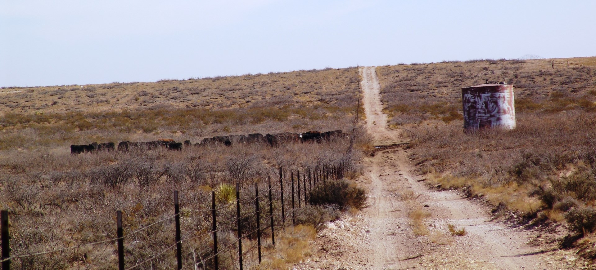 Working Cattle Ranch with Home For Sale in Eddy County, NM