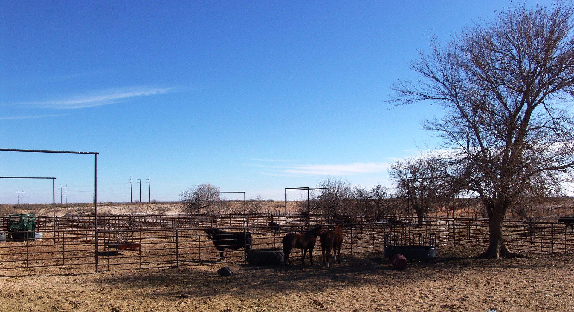 Working Cattle Ranch with Home For Sale in Eddy County, NM