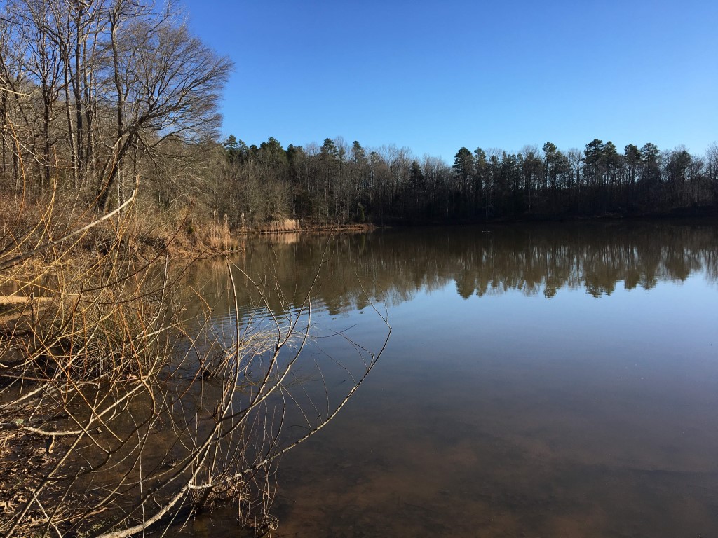 +/-9.6-Acres-Corps Frontage on Lake Russell, in Lowndesville,SC