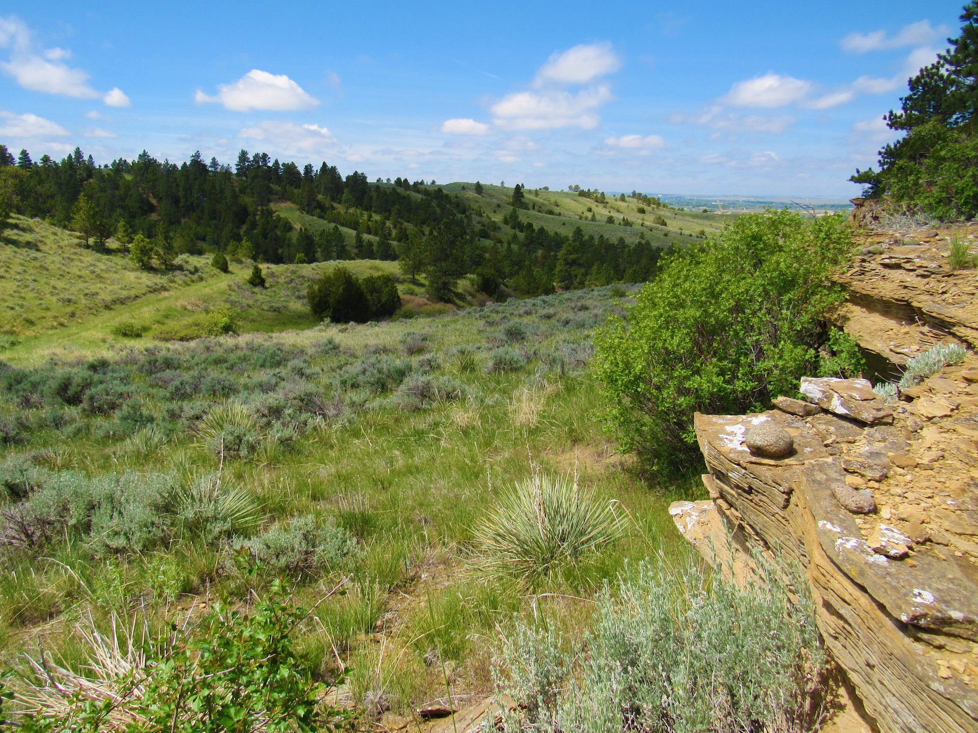 Fascinating Features on Untouched Land