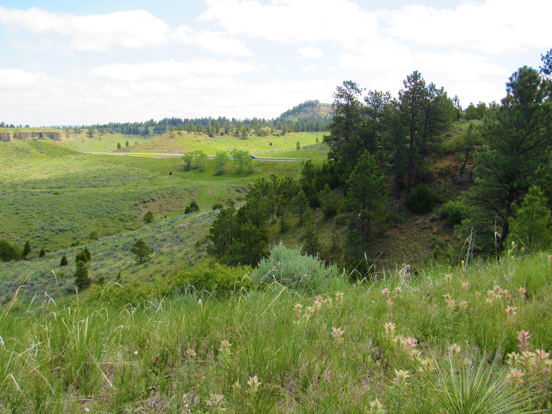 Fascinating Features on Untouched Land
