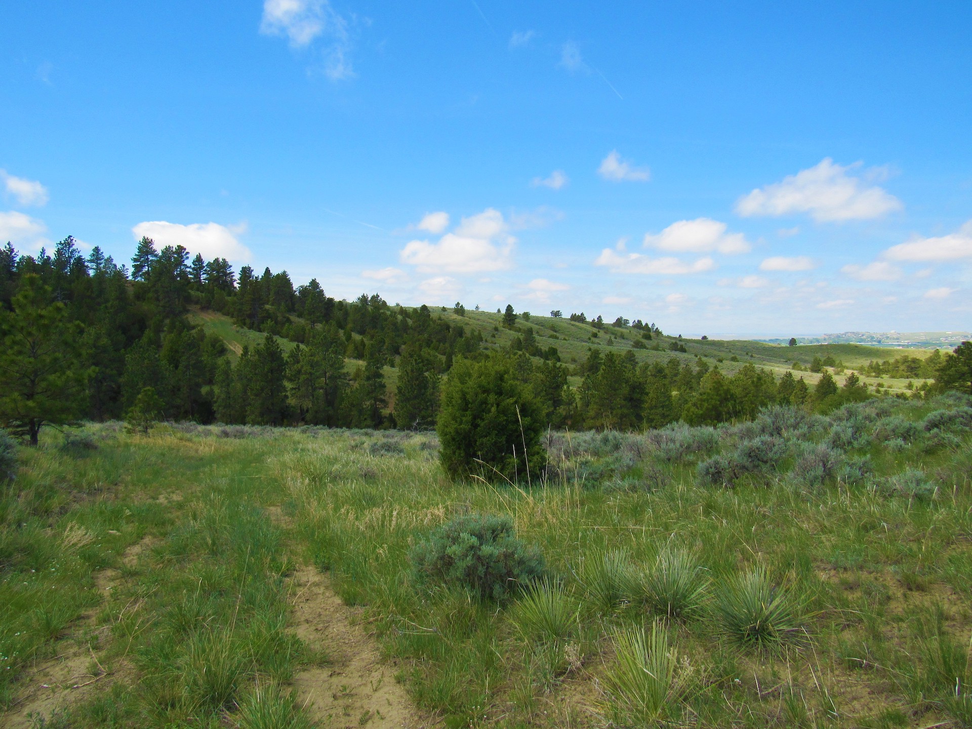 Fascinating Features on Untouched Land