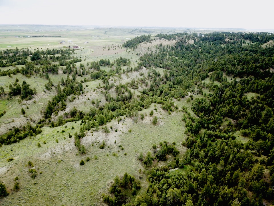 Fascinating Features on Untouched Land