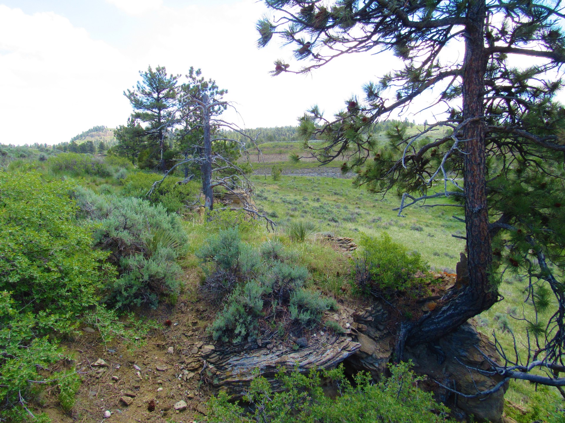 Fascinating Features on Untouched Land