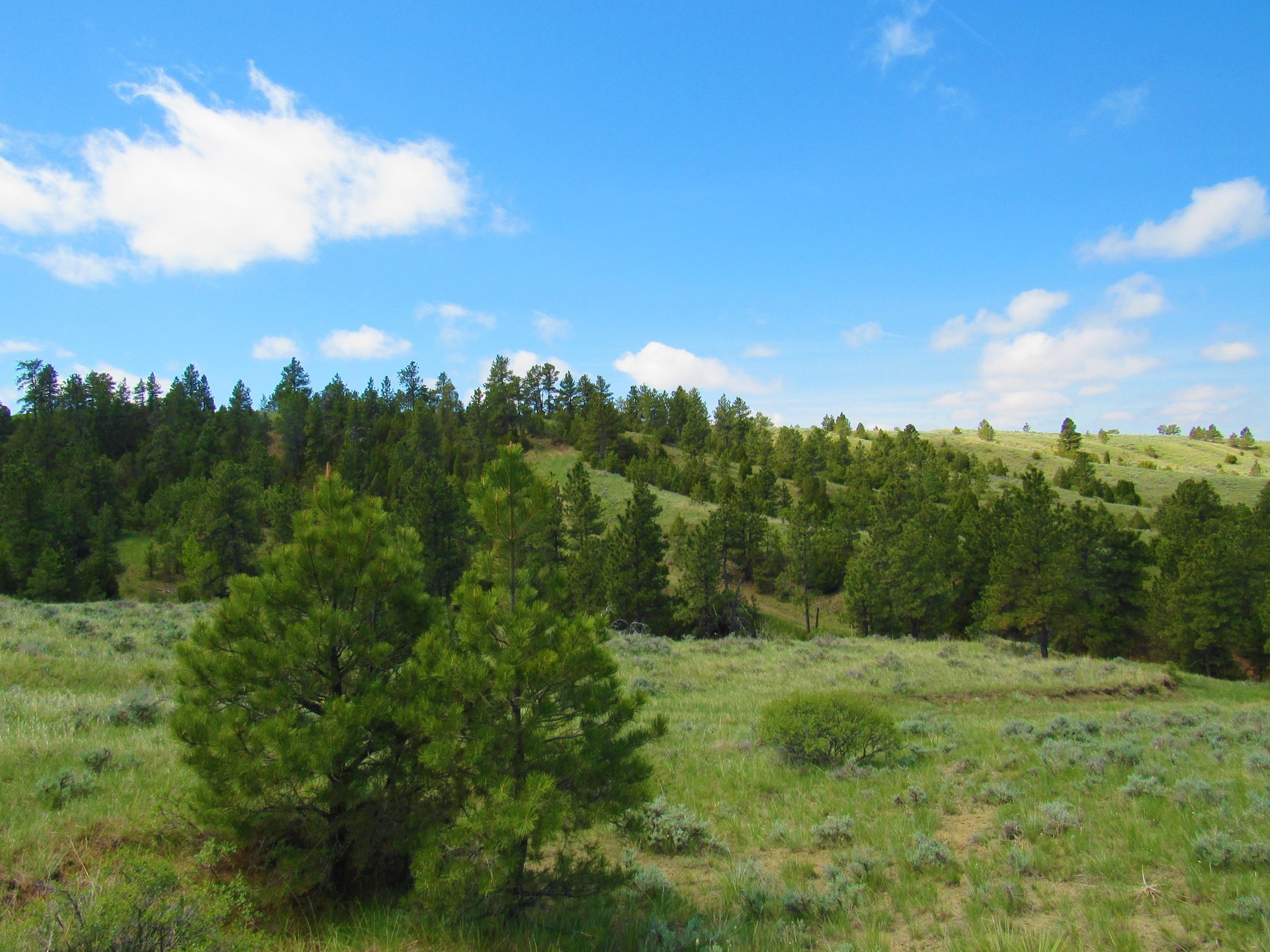 Fascinating Features on Untouched Land