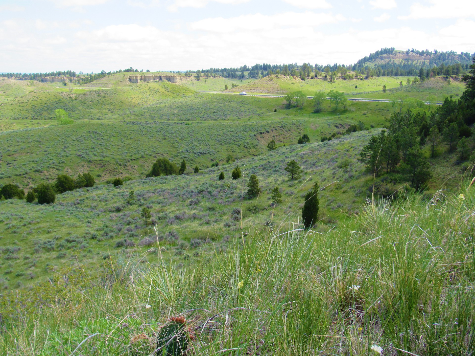 Fascinating Features on Untouched Land