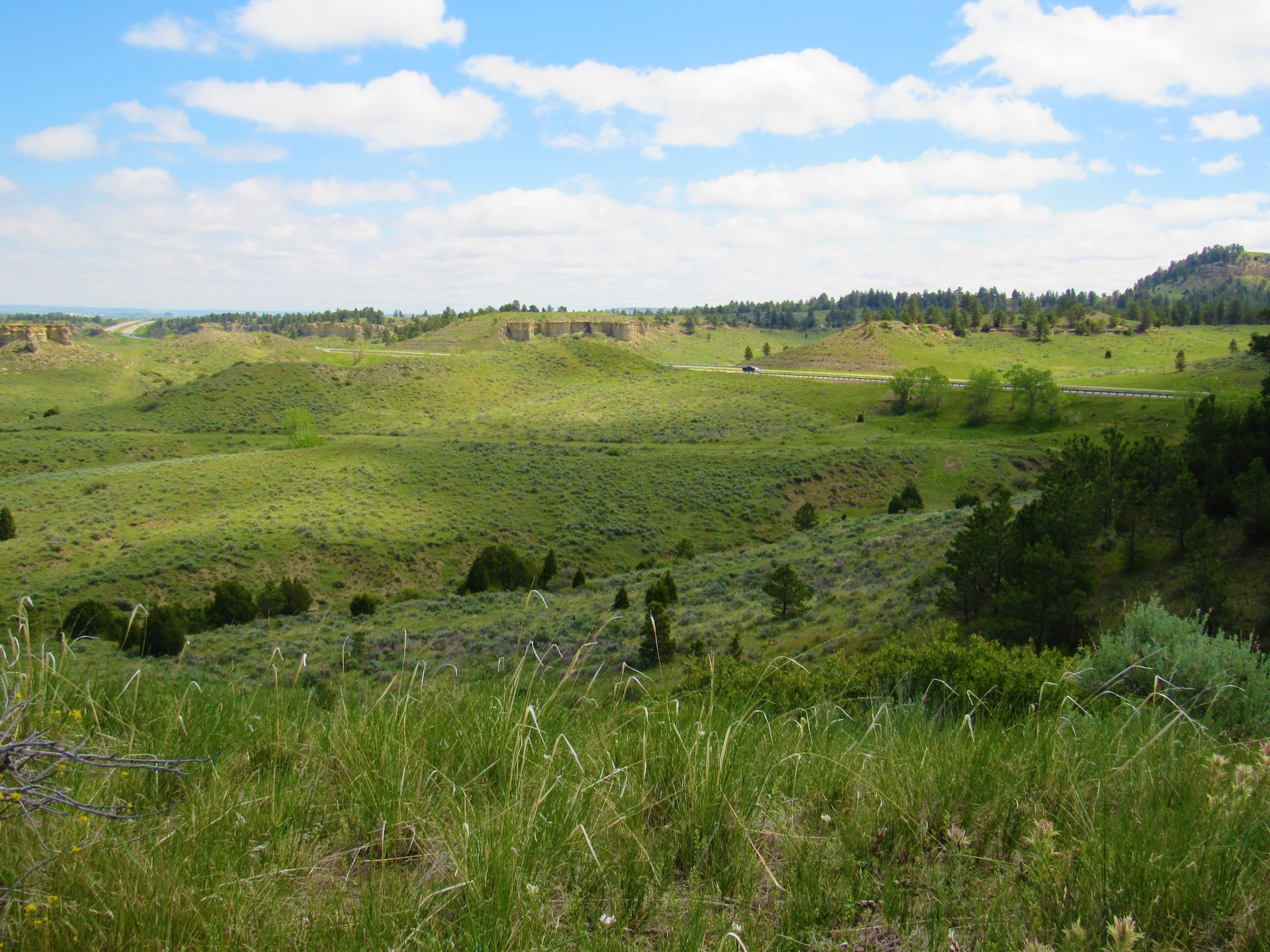 Fascinating Features on Untouched Land