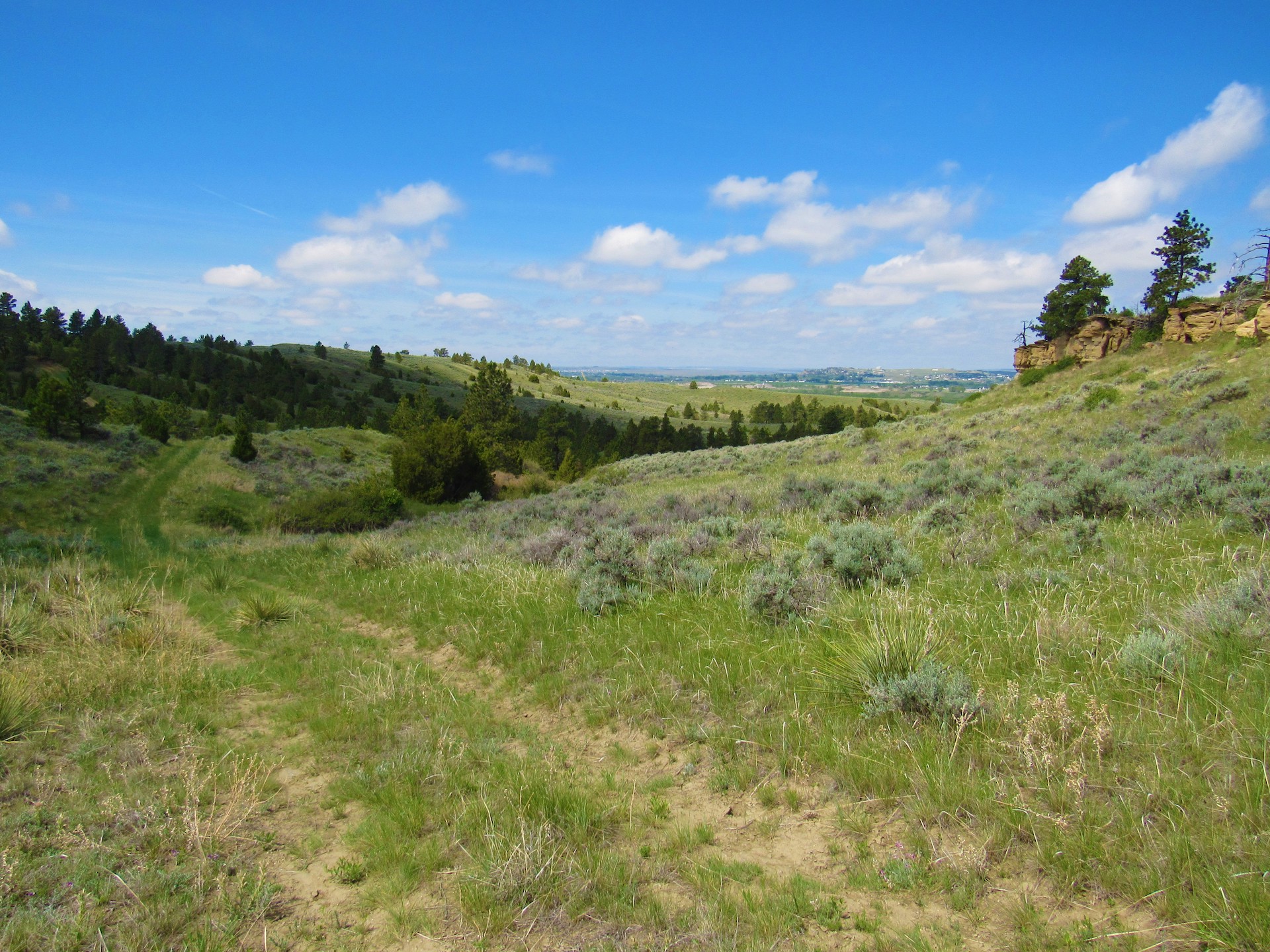 Fascinating Features on Untouched Land