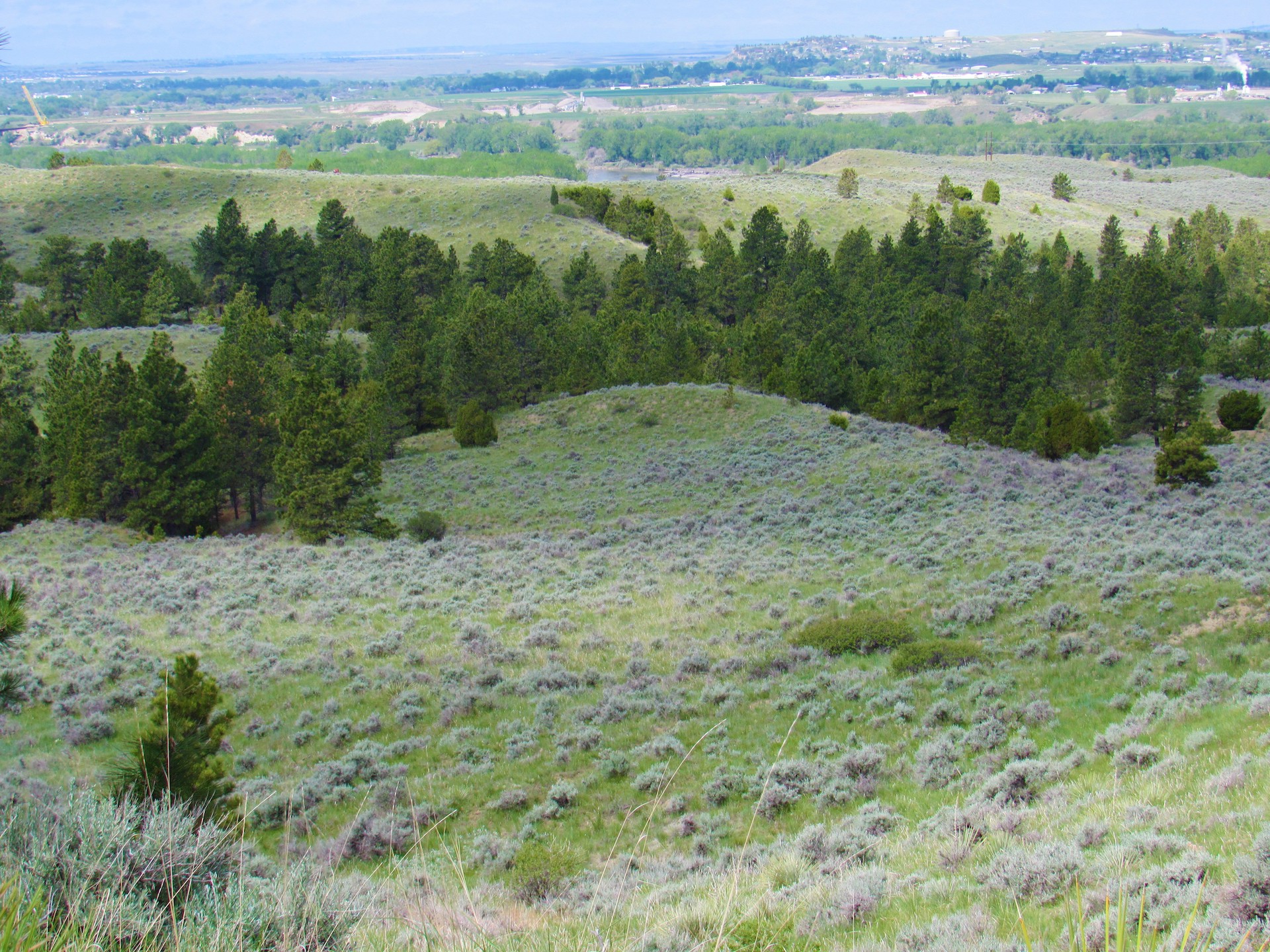 Fascinating Features on Untouched Land