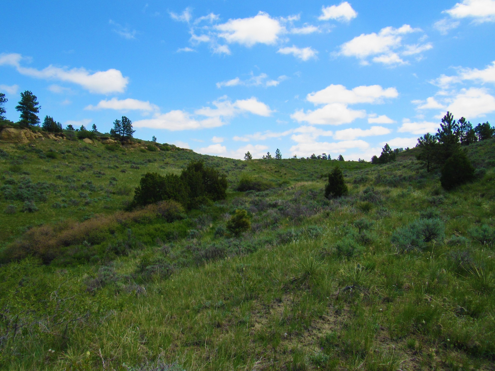 Fascinating Features on Untouched Land