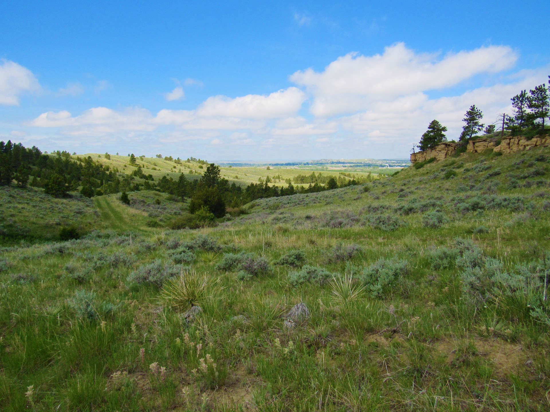 Fascinating Features on Untouched Land
