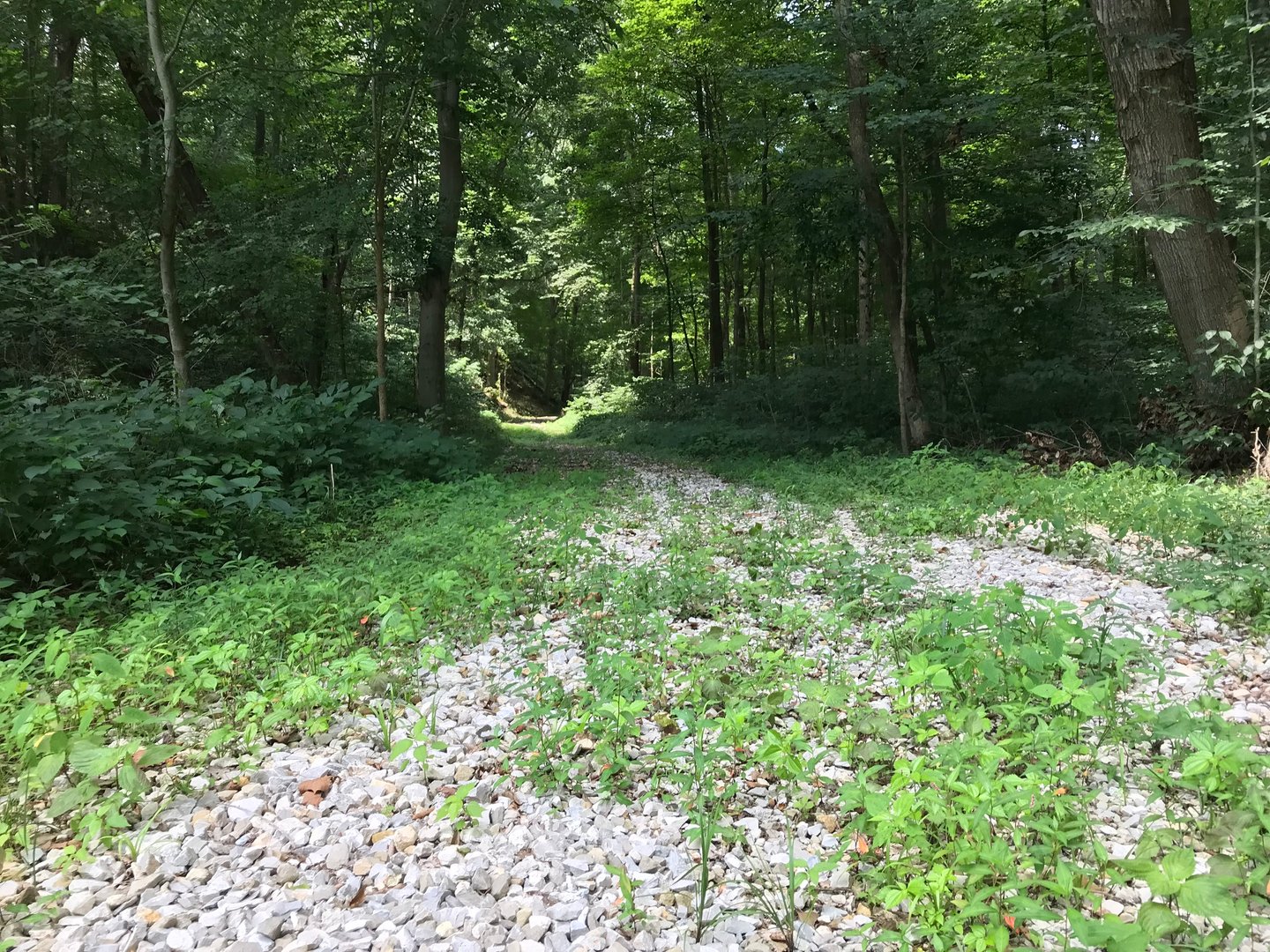 40 Acres in Martin County